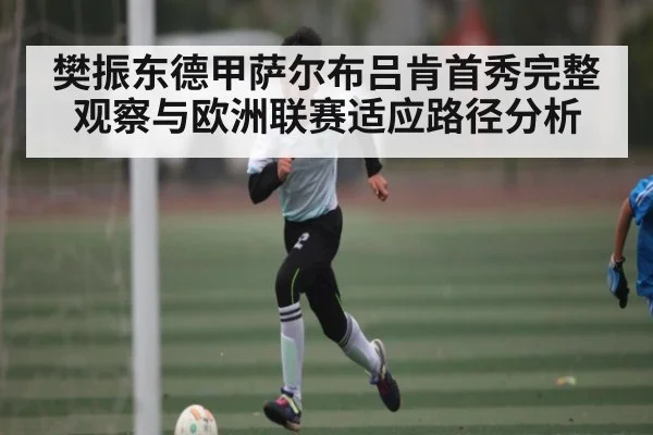 樊振东德甲萨尔布吕肯首秀完整观察与欧洲联赛适应路径分析