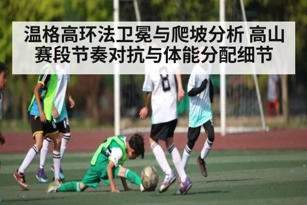 温格高环法卫冕与爬坡分析 高山赛段节奏对抗与体能分配细节